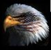 Dave Howell - Facebook