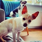 Dave Howells - @teesside2103 - Instagram
