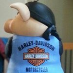 Dave Hubbard - @hubbard.dave - Instagram