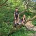 Dave Humphreys - Facebook