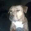 davehumphreys49 - @davehumphreys49 - TikTok