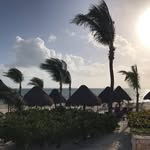 Dave Ireland - @dave_d_ireland - Instagram