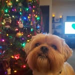 Dave Jacobsen - @djacobs389 - Instagram