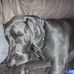 Dave Jacobsen - Facebook