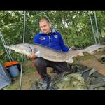 Dave Jasper - @dave.jasper.3 - Instagram