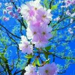 Dave Jeffery - @davejeffery211 - Instagram
