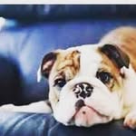 Dave Julius - @davejulius005 - Instagram