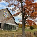 Tricia and Dave 👩🏻‍🌾🧑‍🌾- Juniper Grove Homestead - @juniper_grove_homestead - Instagram