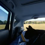 Kasper&Dave - @kasper_and_dave - Instagram