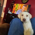 Dave Kauffman - Facebook