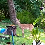 Dave Keating - Facebook