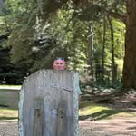 Dave Kenney - @kenney2237 - Instagram
