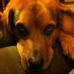 Dave Kenney - @dkenney1968 - Instagram