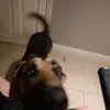 Dave Keogh - @dave.keogh - TikTok