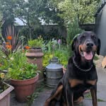 David Keogh - @davekeogh5 - Instagram