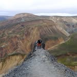 Dave King - @dave_king - Instagram