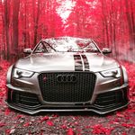 Dave Köhler - @dave.kohler.16121 - Instagram