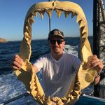 Dave Kohlman - @dave_kohlman - Instagram