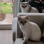 David  Kost - @david._.kost - Instagram