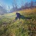 David Kozma - Facebook