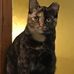 Dave Krueger - Facebook