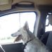 David Kumpf - Facebook