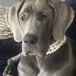 Dave Kurtz - @dmkurtz - Instagram