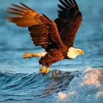 Dave Kurtz - @dave.kurtz1 - Instagram