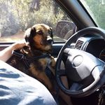 Dave Kurtz - @dave.kurtz4 - Instagram