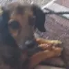 davekurtz609 - @davekurtz609 - TikTok