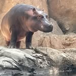 Dave LaBrie - @labrie.dave - Instagram
