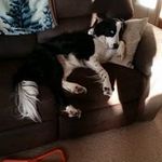 Dave Lake - @lake1971 - Instagram