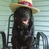 Dave Flanders - @dave.flanders - TikTok