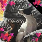 Dave Lane - Facebook