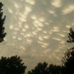 Dave Larsen - @plumbologist - Instagram