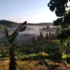 davelastboy - @davelastboy - TikTok