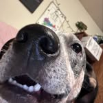 Dave - @dave_latta - Instagram