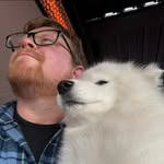 David Latta - @mrdaveylatta - Instagram