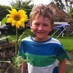 David Lavelle - @lavelle_david - Instagram