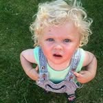 David Lawless - @david_lawless_ - Instagram