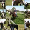 Truckerdave69 - @daveleach34 - TikTok