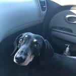 Dave Lillie - @dml4950 - Instagram