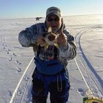 Dave Lindberg - @lindberg_dave - Instagram