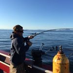 Dave Lindberg - @diverdave.dl - Instagram