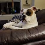 Dave Lindley - @dave.lindley.14 - Instagram