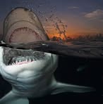 David Lindquist - Facebook