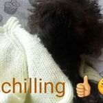 Dave Lindsay - @dave_lindsay_ - Instagram