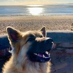 Dave Littlefield - @davejlittlefield - Instagram