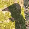davelivesey - @davelivesey - TikTok