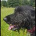 Dave Llewellyn - Facebook